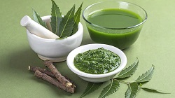 neem-leaf-juice