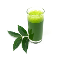 neemleaf-juice