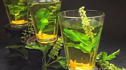 tulasi-juice